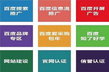 竞价托管SEM案例分析：提升品牌曝光度